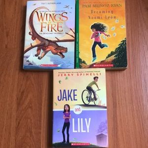 Chapter book bundle